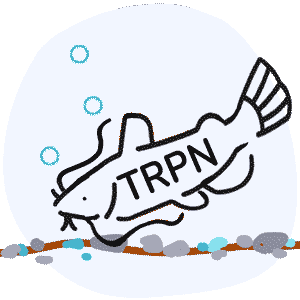 TRPN DirectPay Sends Provider Dangerous “Agreement”