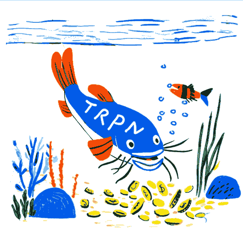Provider Warning: Don’t Fall for TRPN DirectPay Scheme
