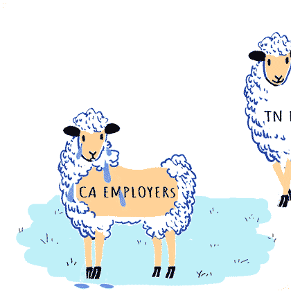 Insurers Are Fleecing CA Employers: TN Edition