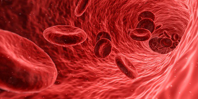 Billing Procedure Code 0232T for Platelet-Rich Plasma Injections