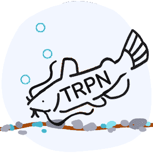 Provider Alert! New 2024 TRPN DirectPay Scheme