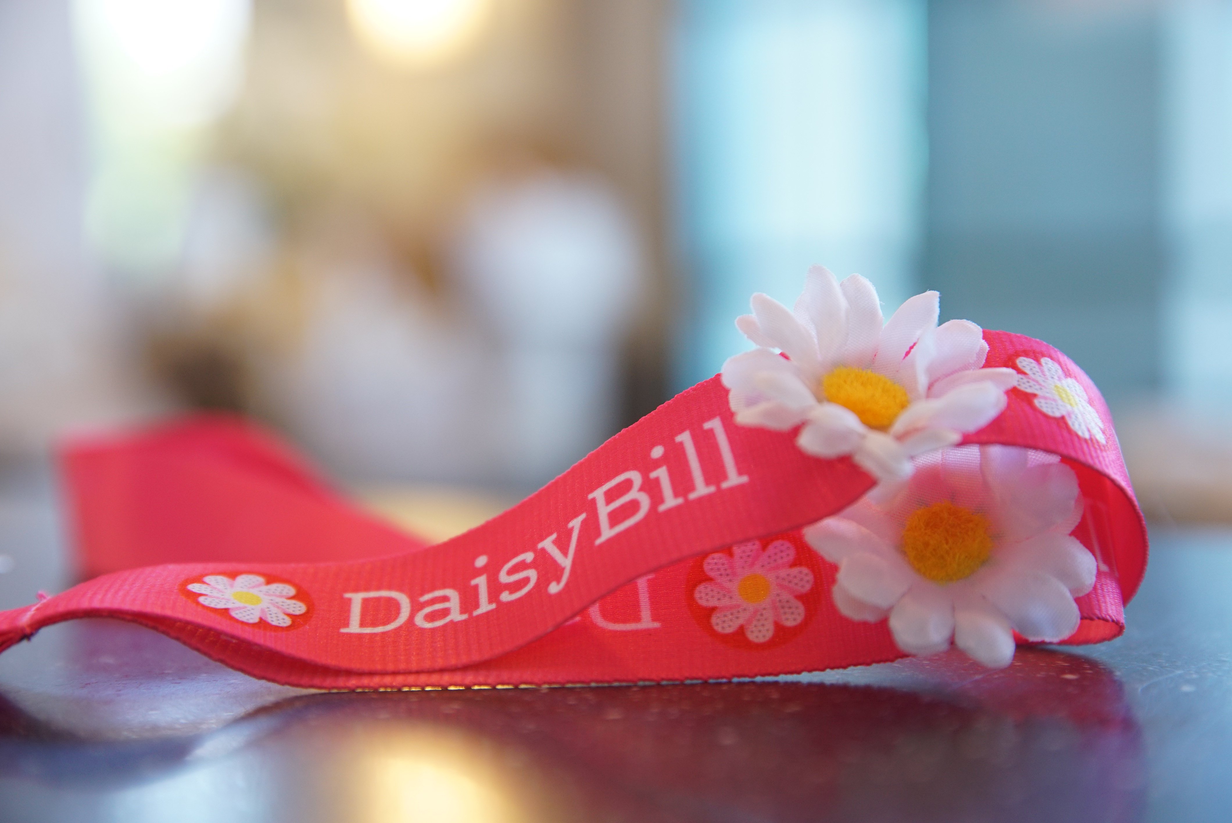 DaisyBillaroo Conference on Workers’ Comp Billing and Payment a Smash!